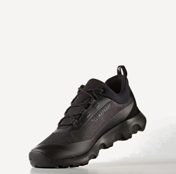 Кроссовки TERREX VOYAGER CW (RU 46 UK 12 USm 12.5 СМ 29.3; Black)